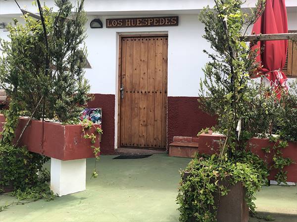 Los viejitos en firgas los huespedes