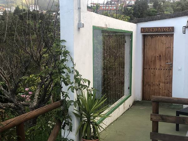 Los viejitos en firgas entrada