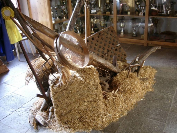 Pueblo De Firgas 011