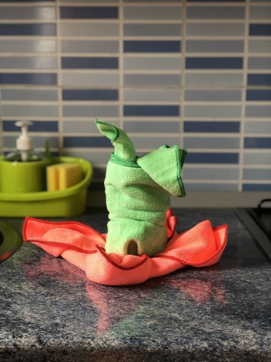 Villa 3 Las Firgas 04-1