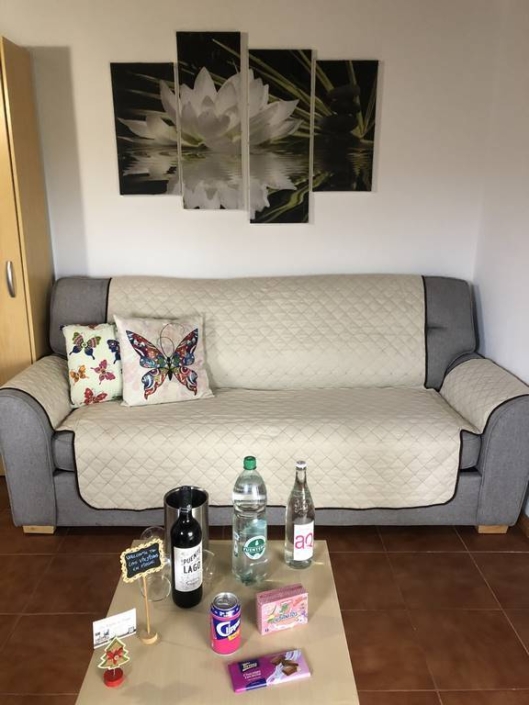 Villa 4 Las Firgas 09